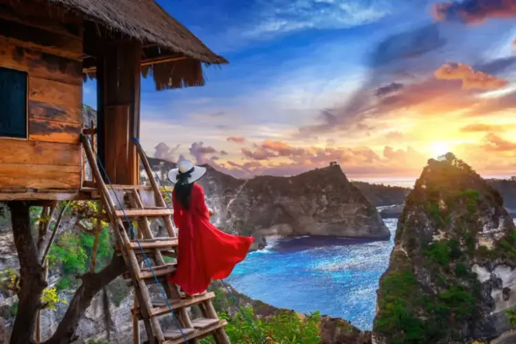 Capture the iconic Tree House photo safely and comfortably with Nusa Penida Transport's car charter service.